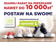 Nowe Rokitki V i VI