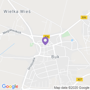Duży zadbany dom z pięknym ogrodem / buk
