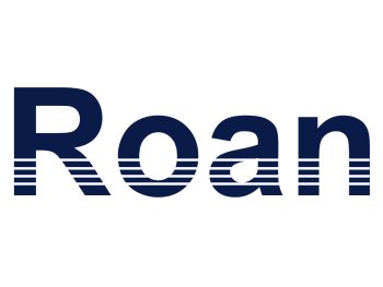 F.H. ROAN E.I.M. Włodarczyk S.J.